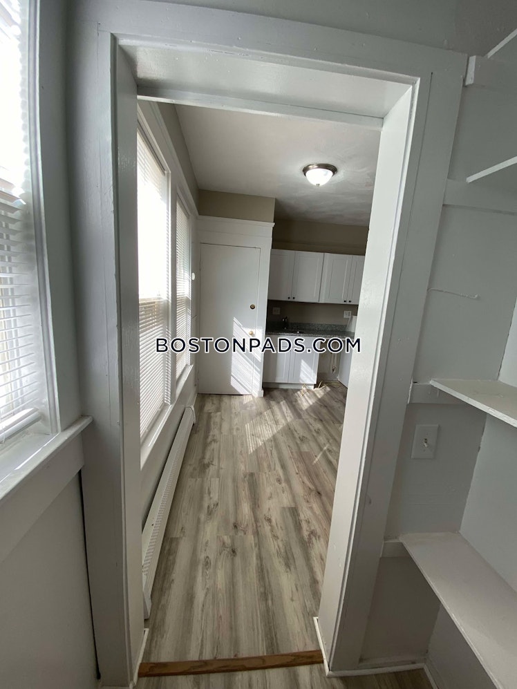 Bowdoin Park, Boston