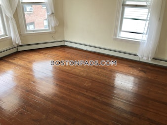 Washburn Ter. Brookline