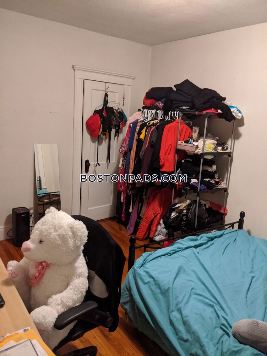 BOSTON - ALLSTON - 1 Bed, 1 Bath - Image 4