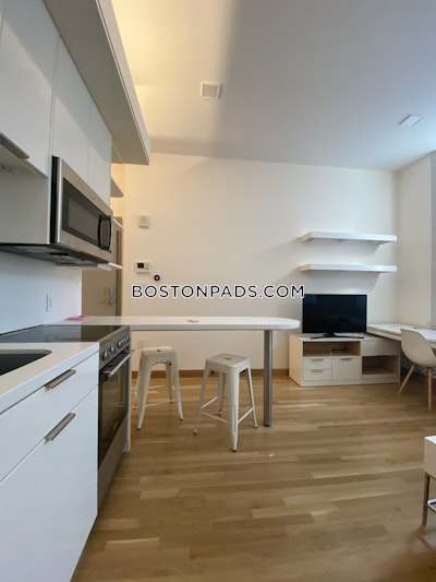 Cambridge Studio 1 Bath  Harvard Square - $3,400