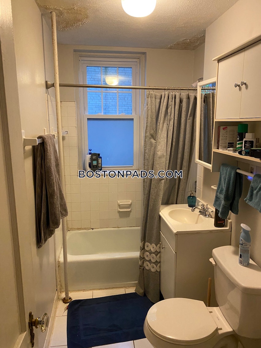 BOSTON - BRIGHTON - CLEVELAND CIRCLE - 1 Bed, 1 Bath - Image 14