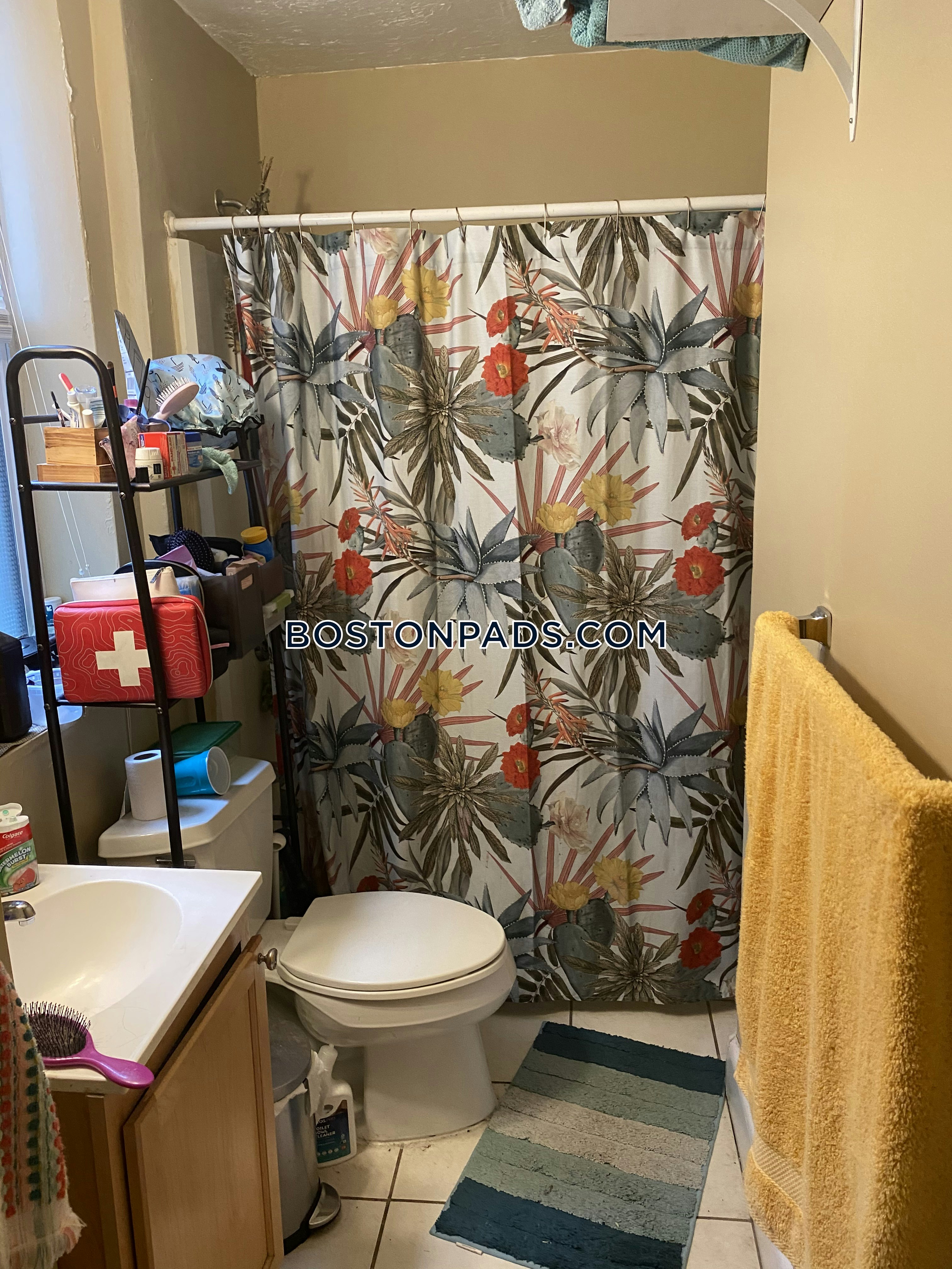 Boston - 2 Beds, 1 Baths