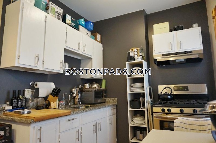 BOSTON - JAMAICA PLAIN - STONY BROOK - 3 Beds, 1 Bath - Image 8