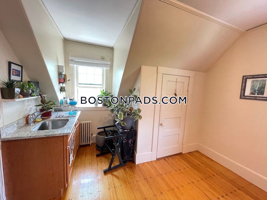 BOSTON - BRIGHTON - CLEVELAND CIRCLE - 1 Bed, 1 Bath - Image 6