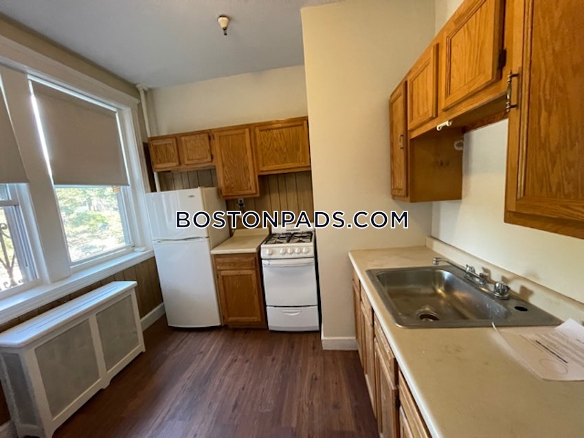 BOSTON - BRIGHTON - CLEVELAND CIRCLE - 1 Bed, 1 Bath - Image 3