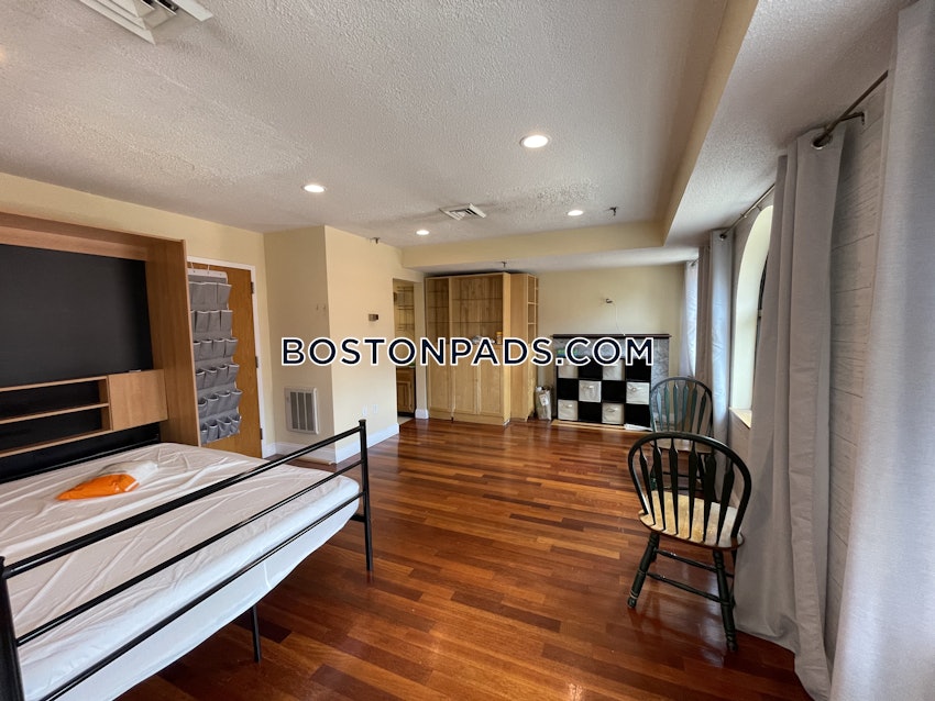 BOSTON - ALLSTON/BRIGHTON BORDER - Studio , 1 Bath - Image 4