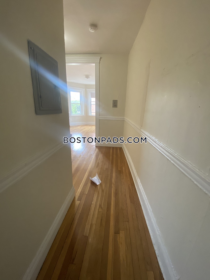 BOSTON - ALLSTON - 1 Bed, 1 Bath - Image 3