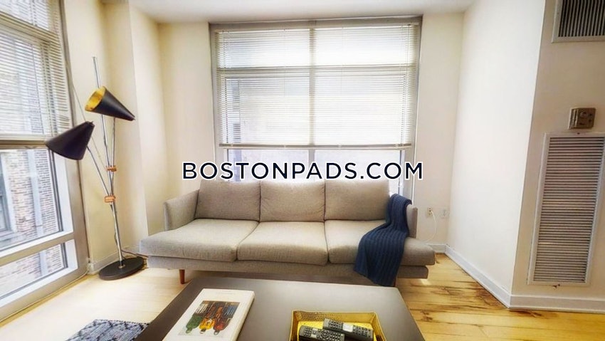 BOSTON - DOWNTOWN - 2 Beds, 2 Baths - Image 10