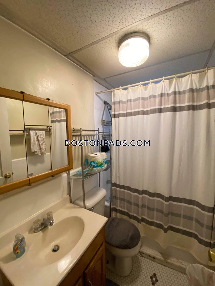 BOSTON - BRIGHTON - BRIGHTON CENTER - 1 Bed, 1 Bath - Image 8