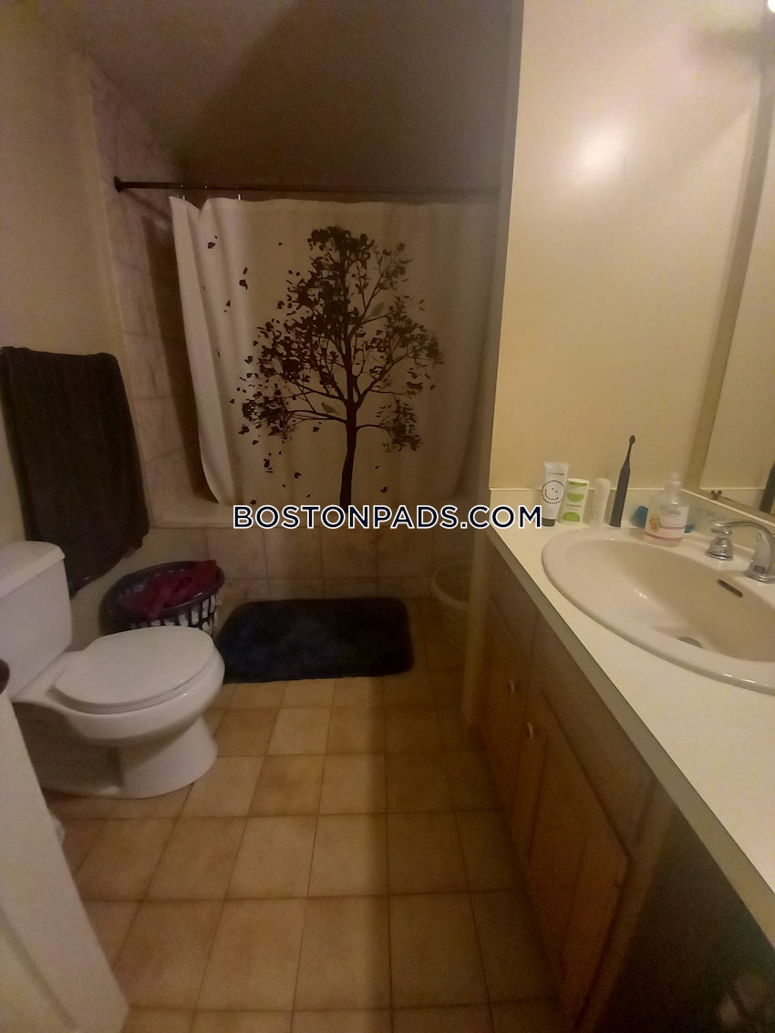 BOSTON - ALLSTON/BRIGHTON BORDER - 2 Beds, 2.5 Baths - Image 50