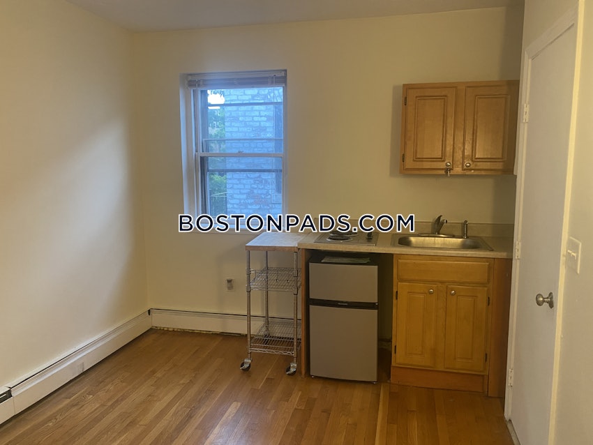 BOSTON - JAMAICA PLAIN - JAMAICA POND/PONDSIDE - Studio , 1 Bath - Image 10