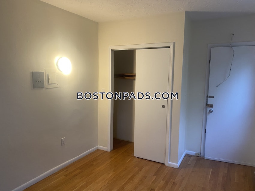 BOSTON - JAMAICA PLAIN - JAMAICA POND/PONDSIDE - Studio , 1 Bath - Image 9