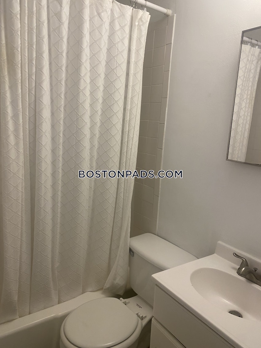 BOSTON - JAMAICA PLAIN - JAMAICA POND/PONDSIDE - Studio , 1 Bath - Image 8