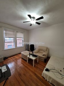 Allston Apartment for rent 1 Bedroom 1 Bath Boston - $2,200