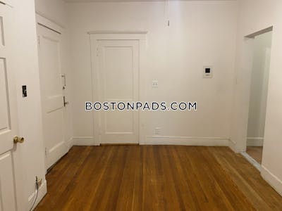 Allston Apartment for rent 1 Bedroom 1 Bath Boston - $2,500 No Fee