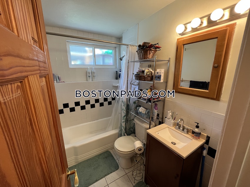 BOSTON - JAMAICA PLAIN - JAMAICA POND/PONDSIDE - 2 Beds, 1 Bath - Image 9