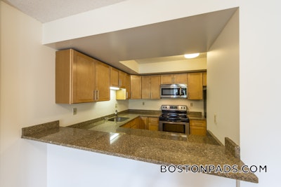 Cambridge Apartment for rent 2 Bedrooms 1.5 Baths  Central Square/cambridgeport - $3,250 50% Fee