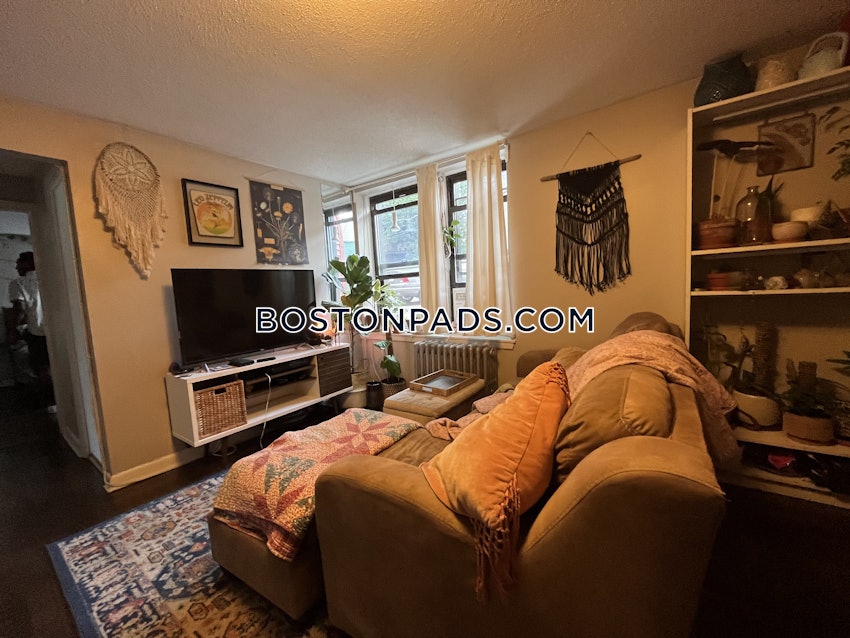 BOSTON - BRIGHTON - CLEVELAND CIRCLE - 1 Bed, 1 Bath - Image 8