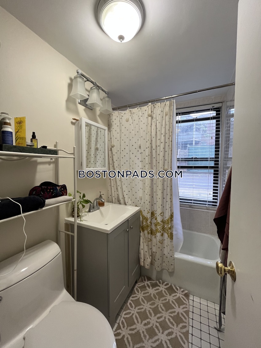 BOSTON - BRIGHTON - CLEVELAND CIRCLE - 1 Bed, 1 Bath - Image 9