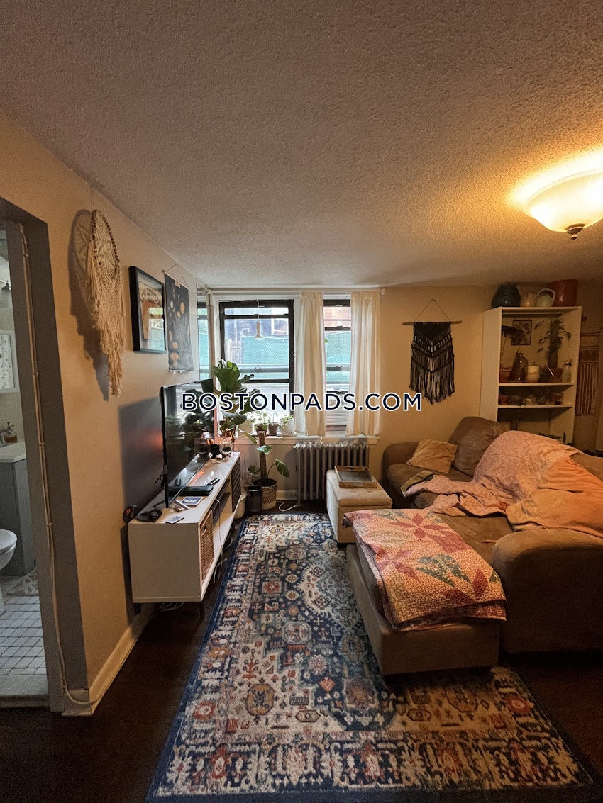 BOSTON - BRIGHTON - CLEVELAND CIRCLE - 1 Bed, 1 Bath - Image 1