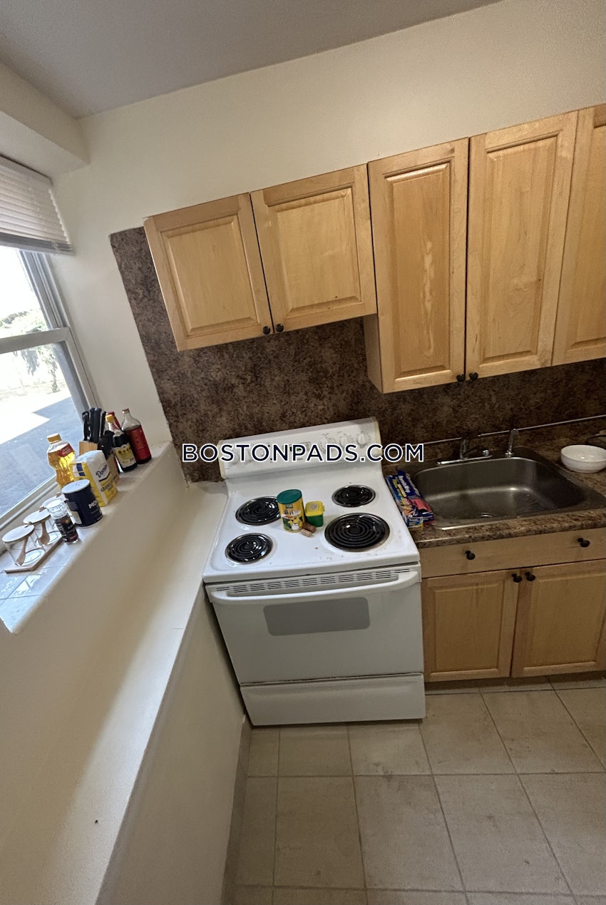 BOSTON - ALLSTON - 1 Bed, 1 Bath - Image 3