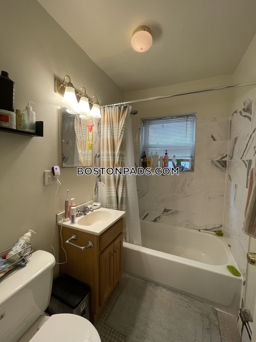 BOSTON - ALLSTON - 1 Bed, 1 Bath - Image 2