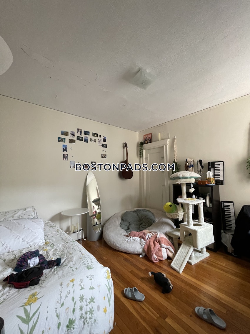 BOSTON - ALLSTON - 1 Bed, 1 Bath - Image 8