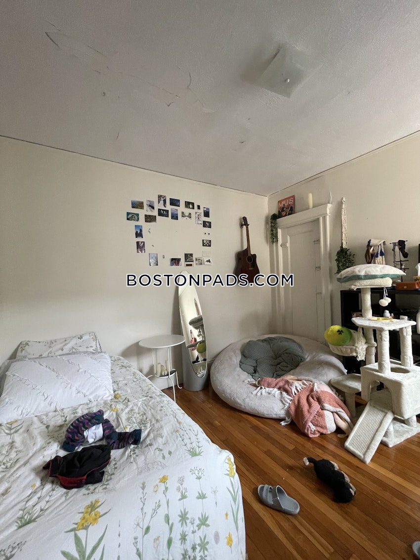 BOSTON - ALLSTON - 1 Bed, 1 Bath - Image 6