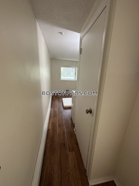 South Huntington Ave. Boston photo 26