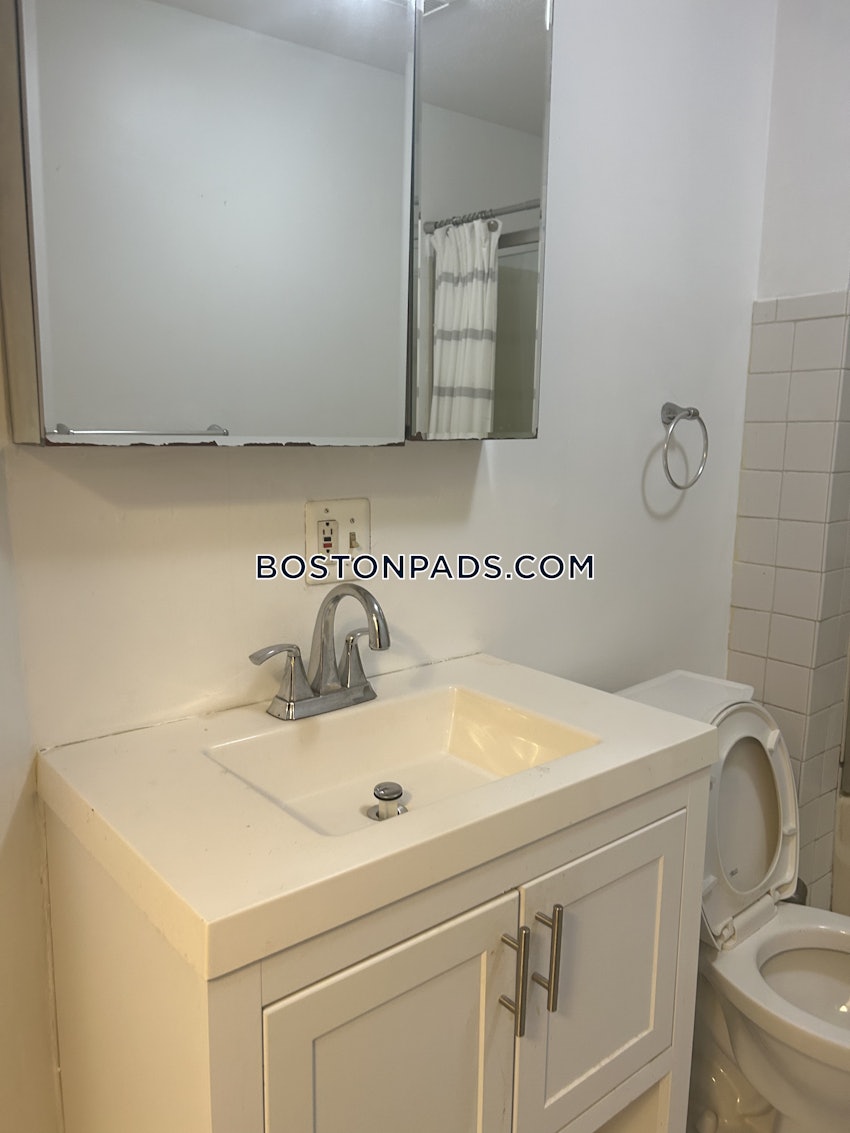 BOSTON - JAMAICA PLAIN - STONY BROOK - 3 Beds, 1 Bath - Image 44