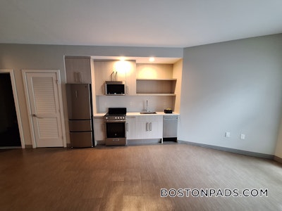 Jamaica Plain Studio  baths Luxury in BOSTON Boston - $2,505