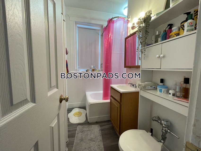 BOSTON - BRIGHTON - CLEVELAND CIRCLE - 1 Bed, 1 Bath - Image 16