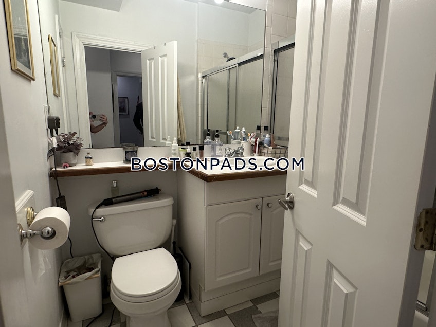 Boston - $3,000+ /month