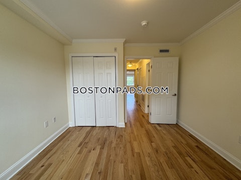 Langdon St. Cambridge photo 16