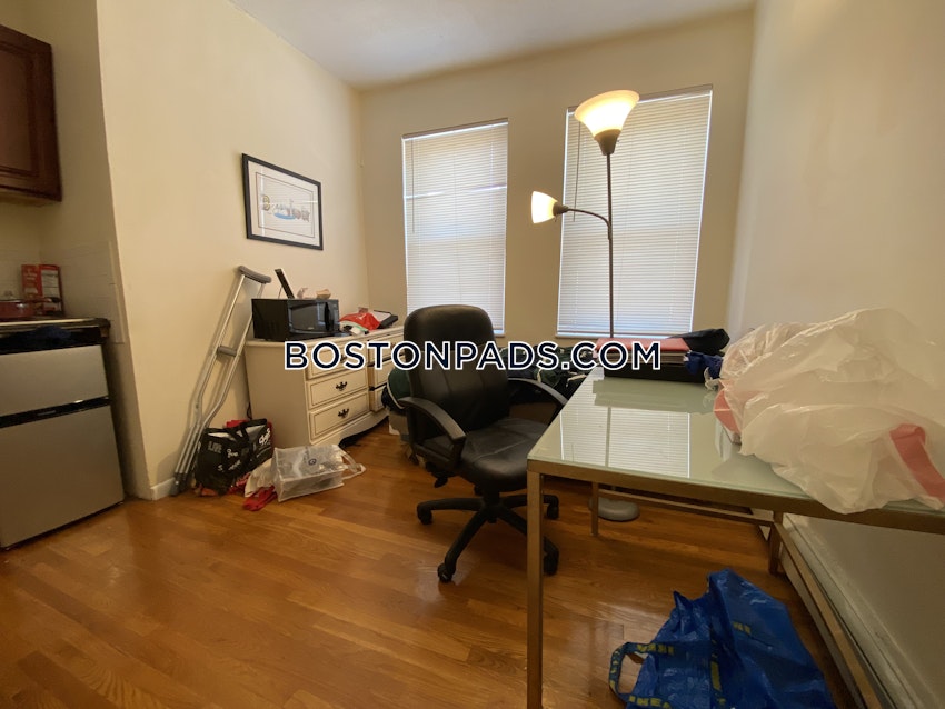 BOSTON - JAMAICA PLAIN - JAMAICA POND/PONDSIDE - Studio , 1 Bath - Image 11