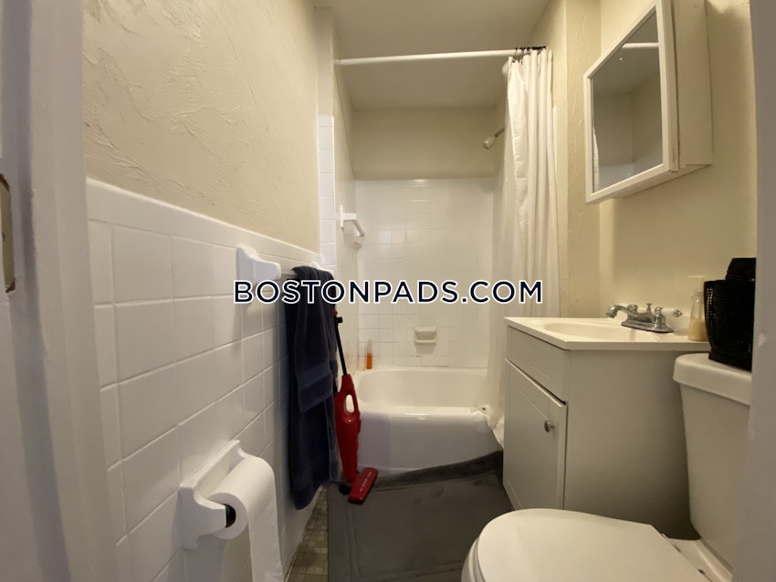 BOSTON - JAMAICA PLAIN - JAMAICA POND/PONDSIDE - Studio , 1 Bath - Image 26