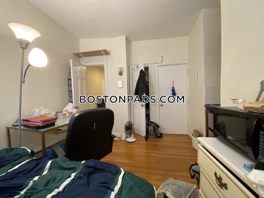 BOSTON - JAMAICA PLAIN - JAMAICA POND/PONDSIDE - Studio , 1 Bath - Image 9