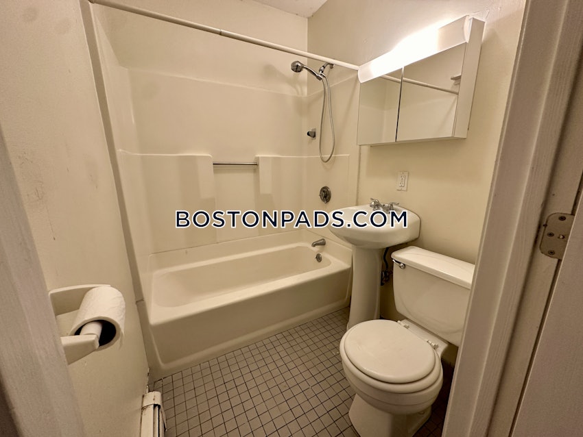 BOSTON - JAMAICA PLAIN - JAMAICA POND/PONDSIDE - 1 Bed, 1 Bath - Image 11