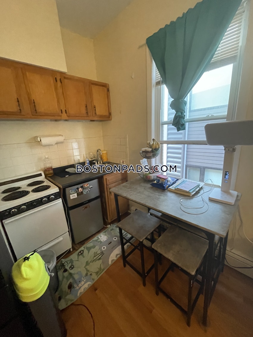 BOSTON - JAMAICA PLAIN - JAMAICA POND/PONDSIDE - Studio , 1 Bath - Image 5