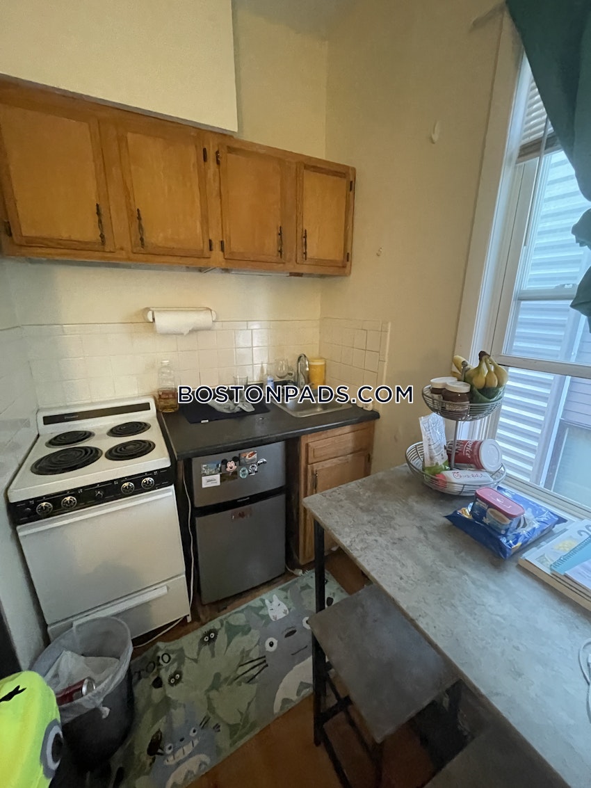 BOSTON - JAMAICA PLAIN - JAMAICA POND/PONDSIDE - Studio , 1 Bath - Image 6