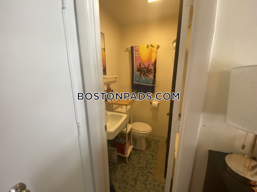 BOSTON - JAMAICA PLAIN - JAMAICA POND/PONDSIDE - Studio , 1 Bath - Image 28