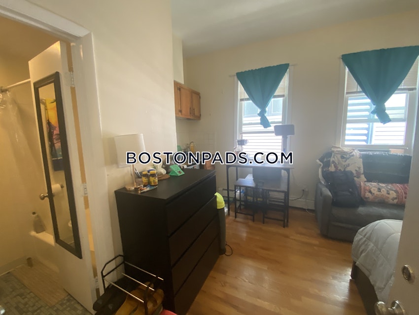 BOSTON - JAMAICA PLAIN - JAMAICA POND/PONDSIDE - Studio , 1 Bath - Image 4