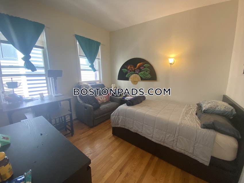 BOSTON - JAMAICA PLAIN - JAMAICA POND/PONDSIDE - Studio , 1 Bath - Image 17