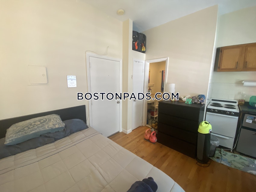 BOSTON - JAMAICA PLAIN - JAMAICA POND/PONDSIDE - Studio , 1 Bath - Image 16