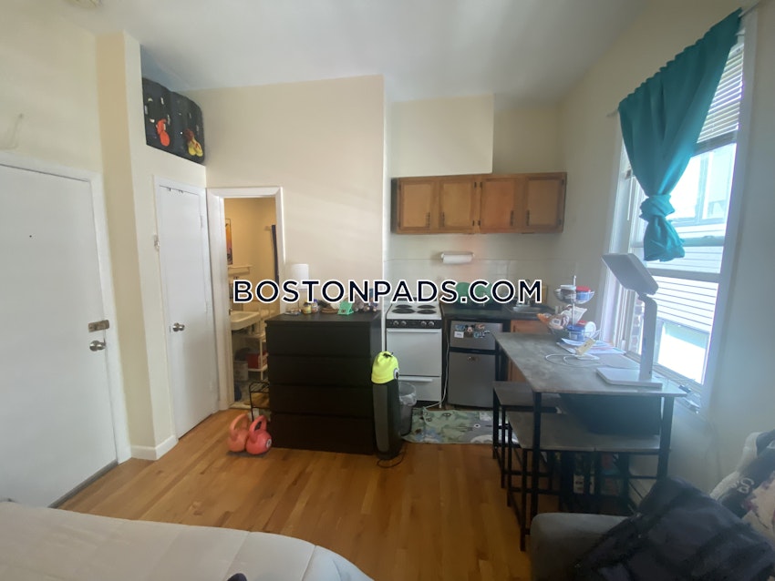 BOSTON - JAMAICA PLAIN - JAMAICA POND/PONDSIDE - Studio , 1 Bath - Image 3