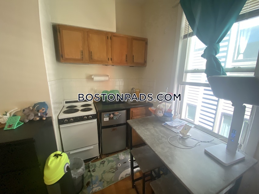 BOSTON - JAMAICA PLAIN - JAMAICA POND/PONDSIDE - Studio , 1 Bath - Image 7