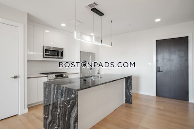 East Boston 2 bedroom 2 baths Luxury in BOSTON Boston - $3,850 No Fee