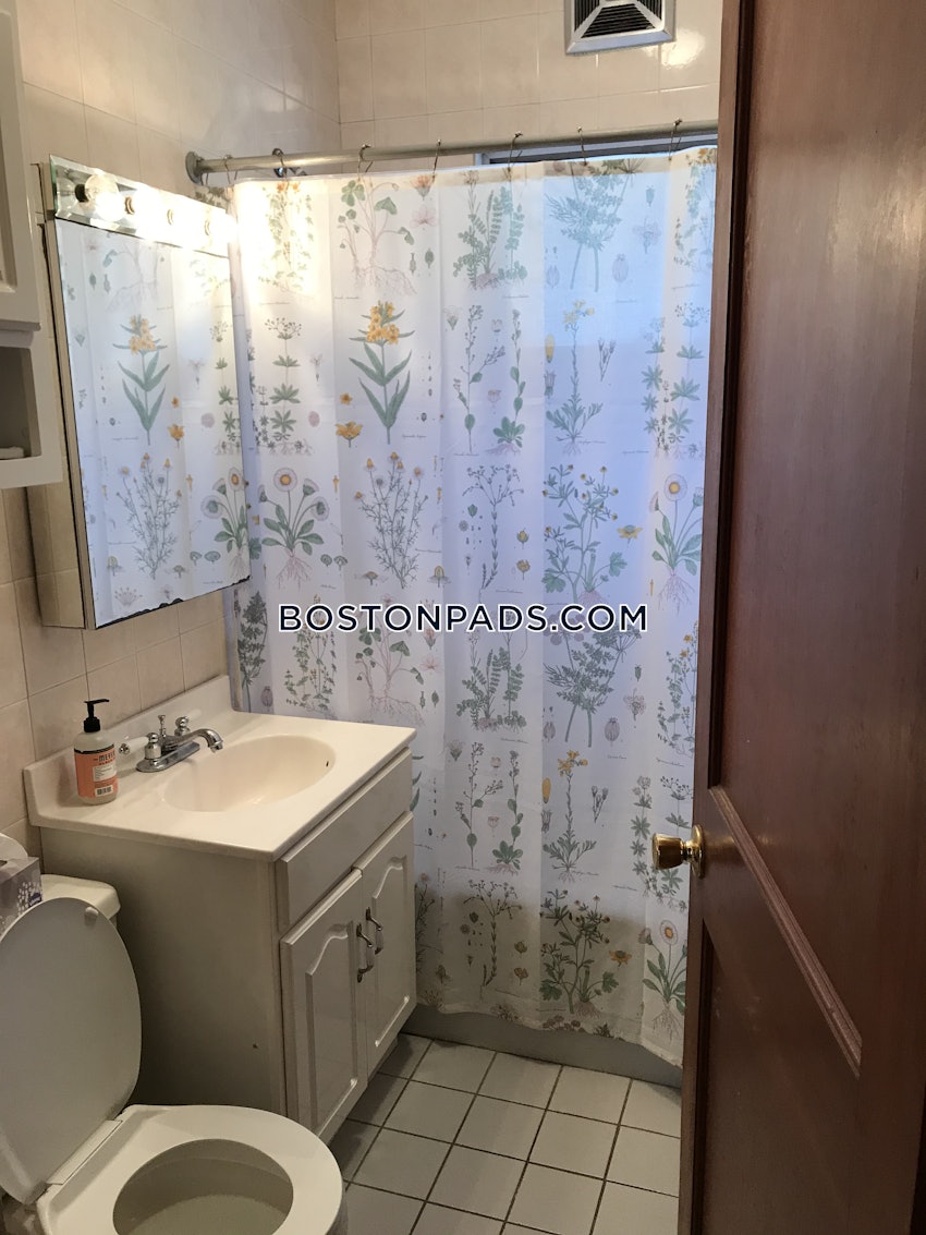 BOSTON - BRIGHTON- WASHINGTON ST./ ALLSTON ST. - 2 Beds, 1 Bath - Image 6