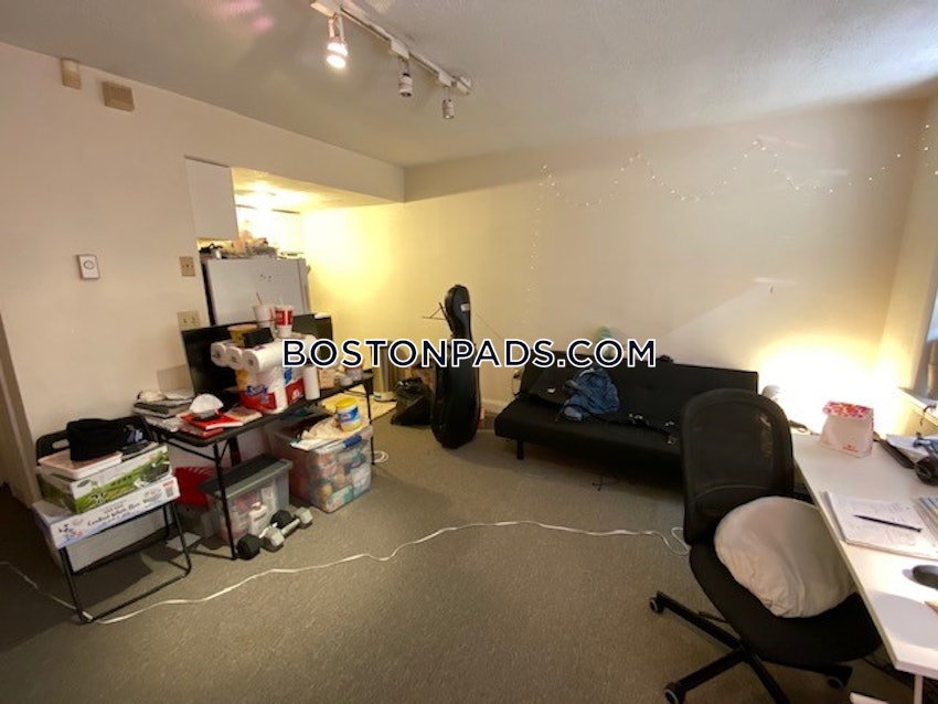 BOSTON - NORTHEASTERN/SYMPHONY - Studio , 1 Bath - Image 4