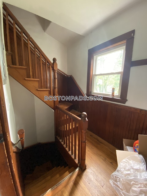 Commonwealth Ave. Newton photo 2